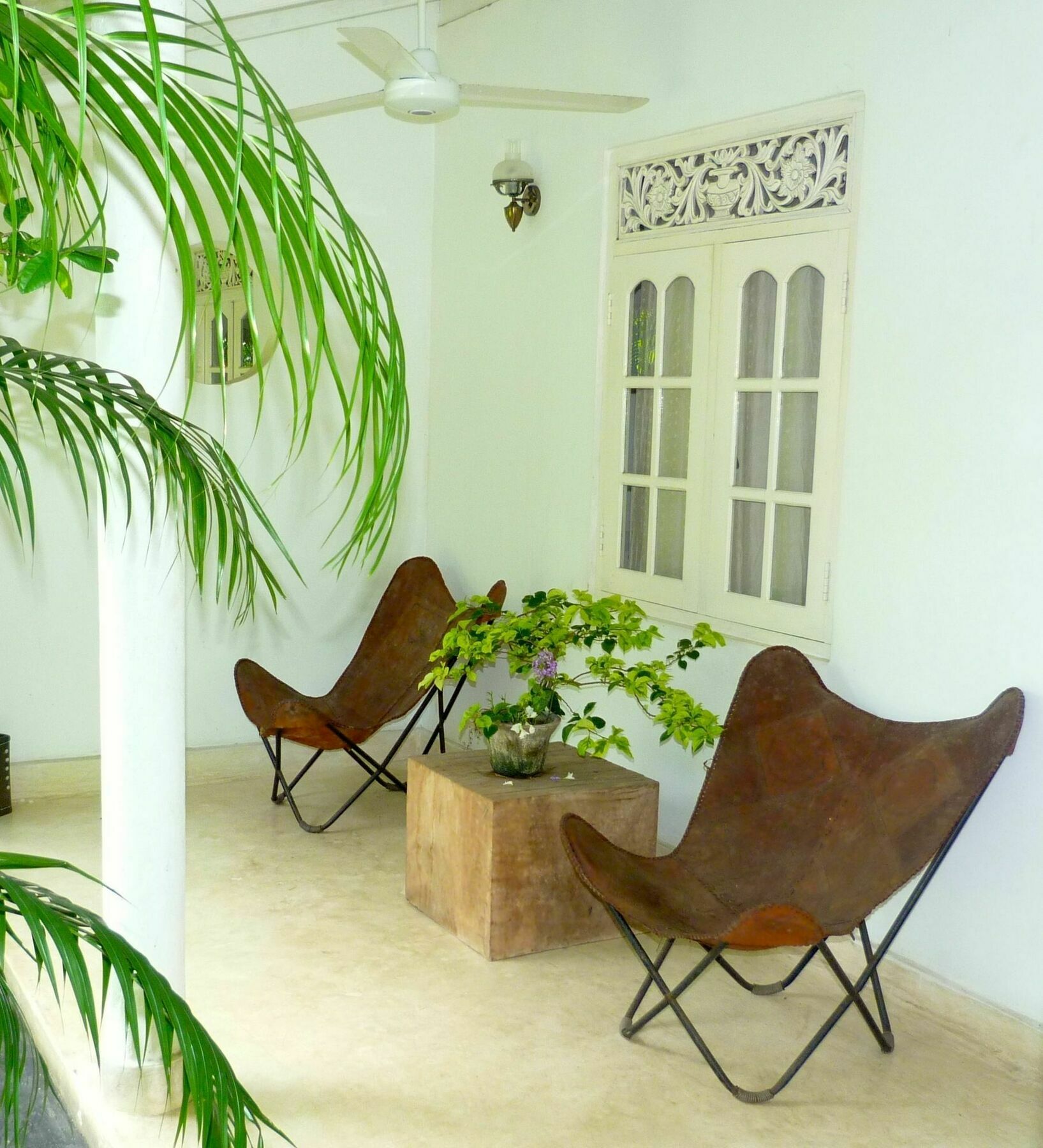 Fire Dragon Hideaway Hotel Negombo Eksteriør billede